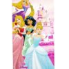 Πετσέτα Θαλάσσης Quick Dry Disney Home Princess 30 70X140 Pink 100% Microfiber