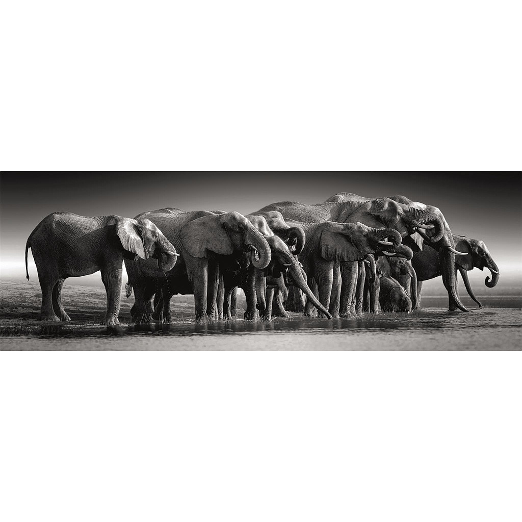 Alternative view of Animals Herd of Giants Elephant 1000 τεμάχια Πανοραμικό Συμπαγούς Σχεδιασμού Clementoni