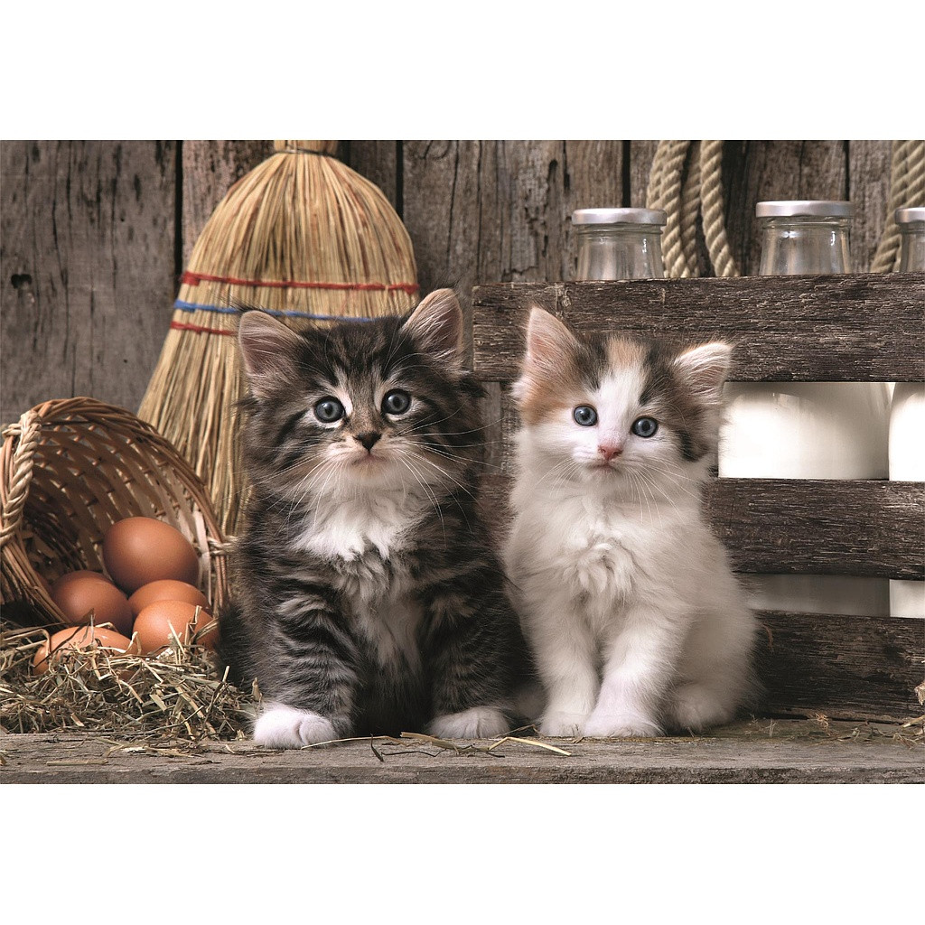 Alternative view of Animals Lovely Cat 1000 Τεμάχια puzzle Clementoni