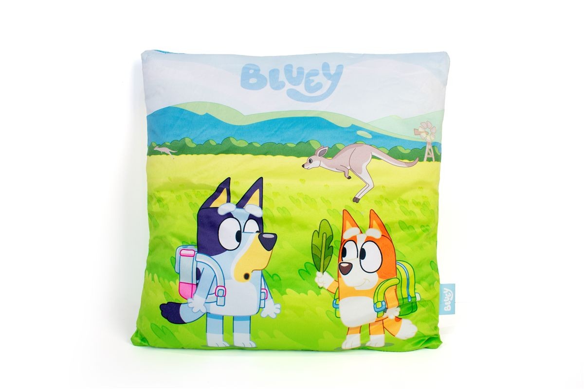 Βελούδινο Μαξιλάρι BBC Studios Bluey 09 38X38 Green 100% Velboa