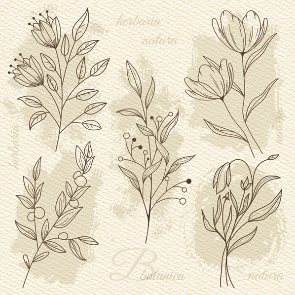 Flower Beige Illustration Παιδικές Χαρτοπετσέτες 20 τεμάχια 33x33 cm
