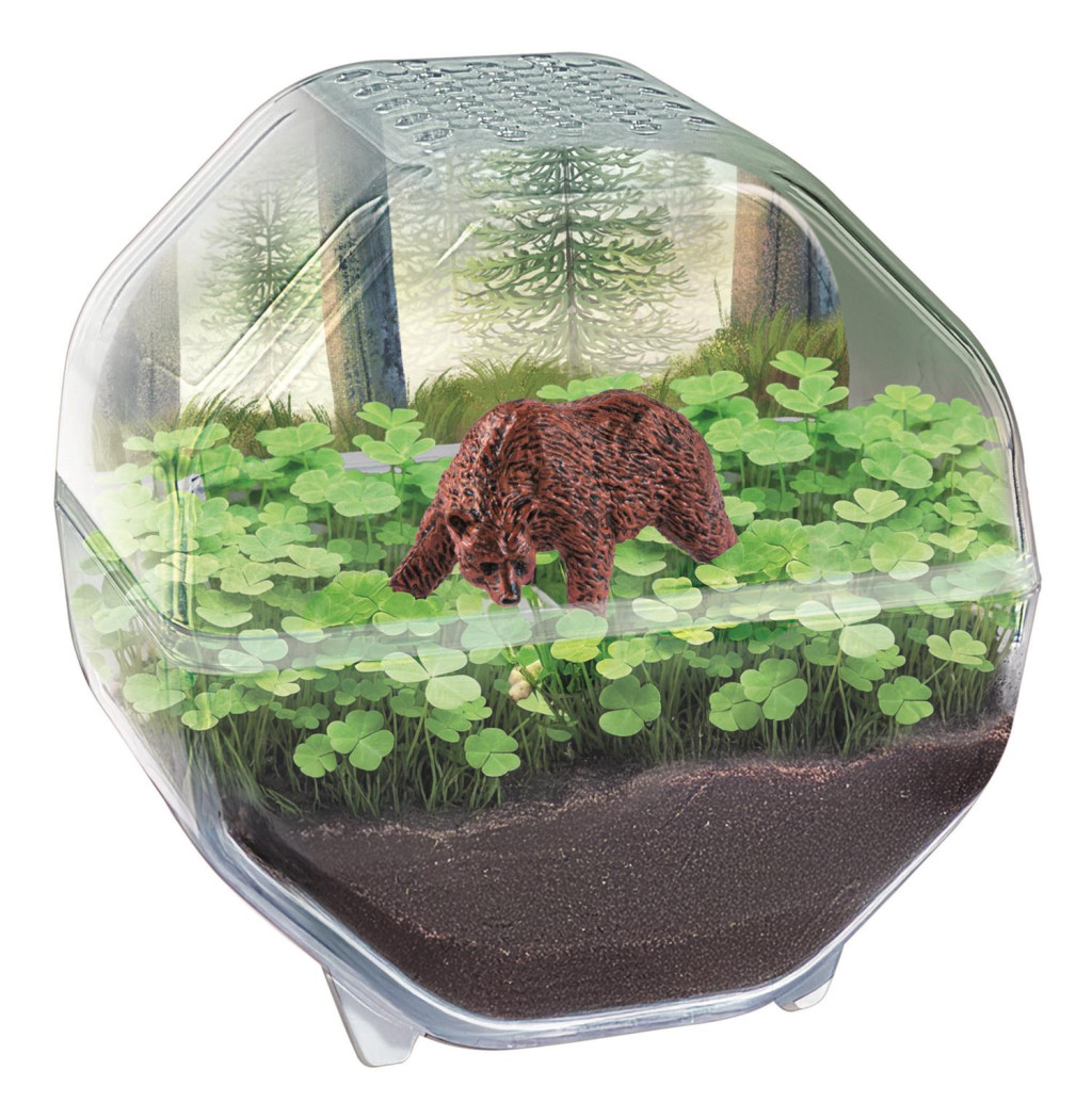 Alternative view of Animals Bear Mini Terrarium Clementoni