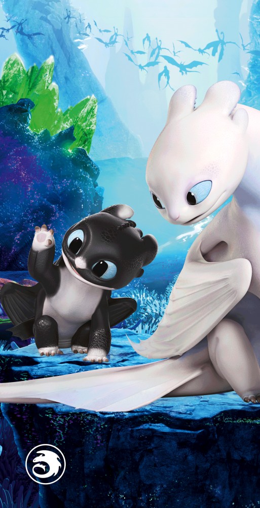 How To Train Your Dragon Little Kin bath towel, beach towel 70x140cm