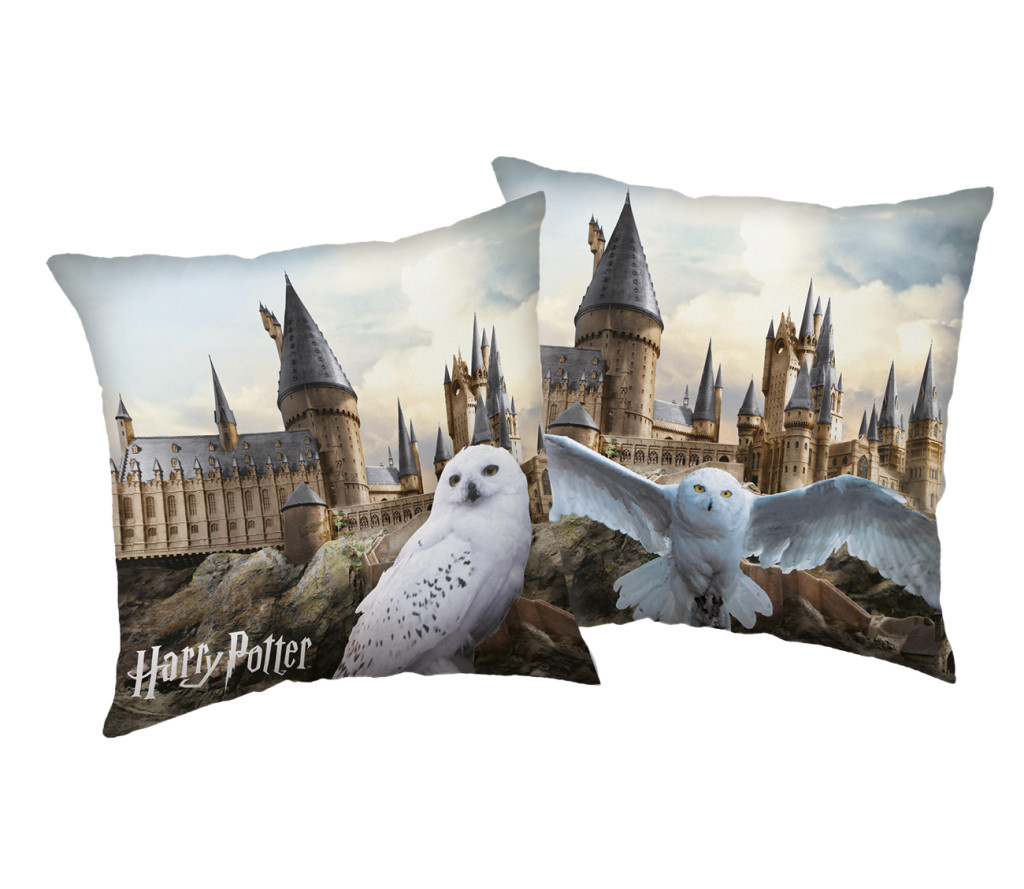 Harry Potter Hedwig at Hogwarts Διακοσμητικό μαξιλάρι 40×40 cm